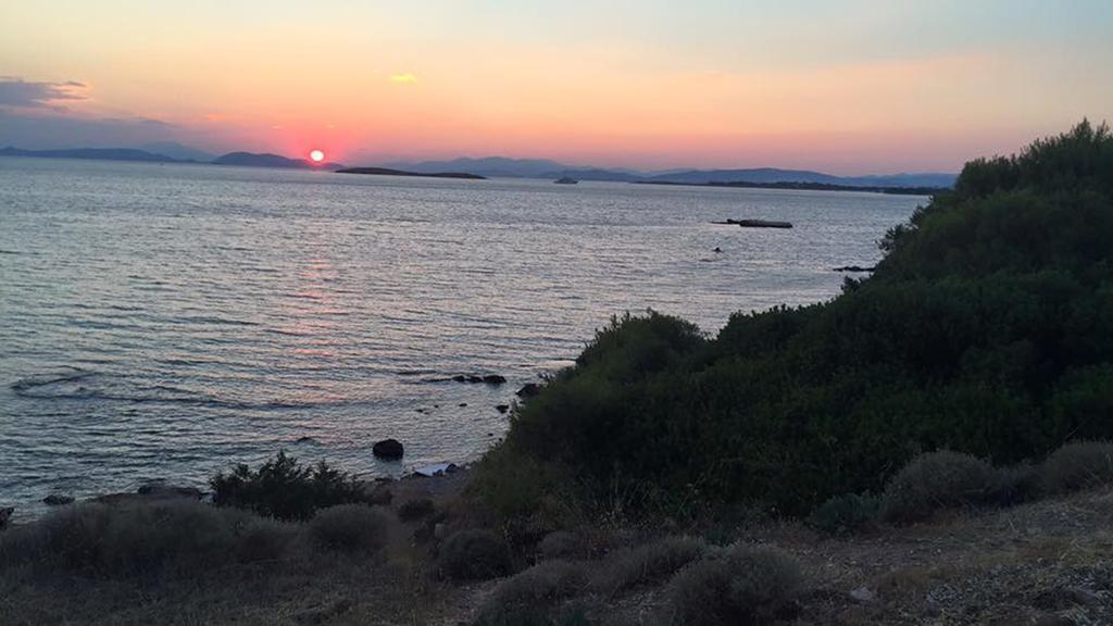 Sea Sun Lejlighedshotel Plomari Eksteriør billede